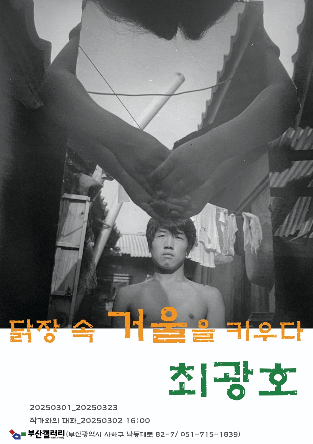 닭장 속 거울을 키우다
